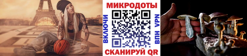 Купить  Назрань  Галлюциногенные грибы ЛСД 